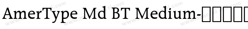 AmerType Md BT Medium字体转换